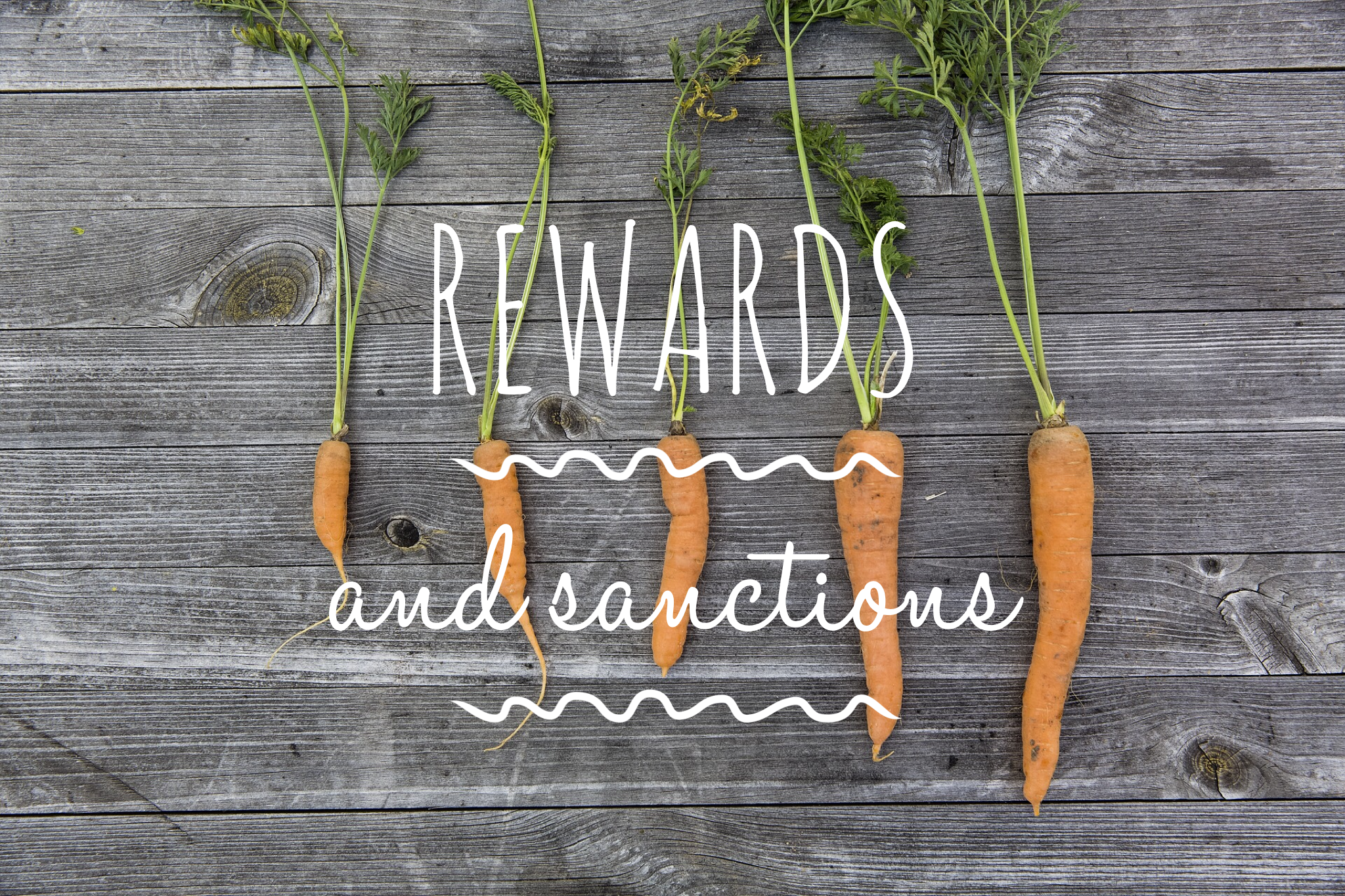 Rewards & Sanctions - A Simple Guide